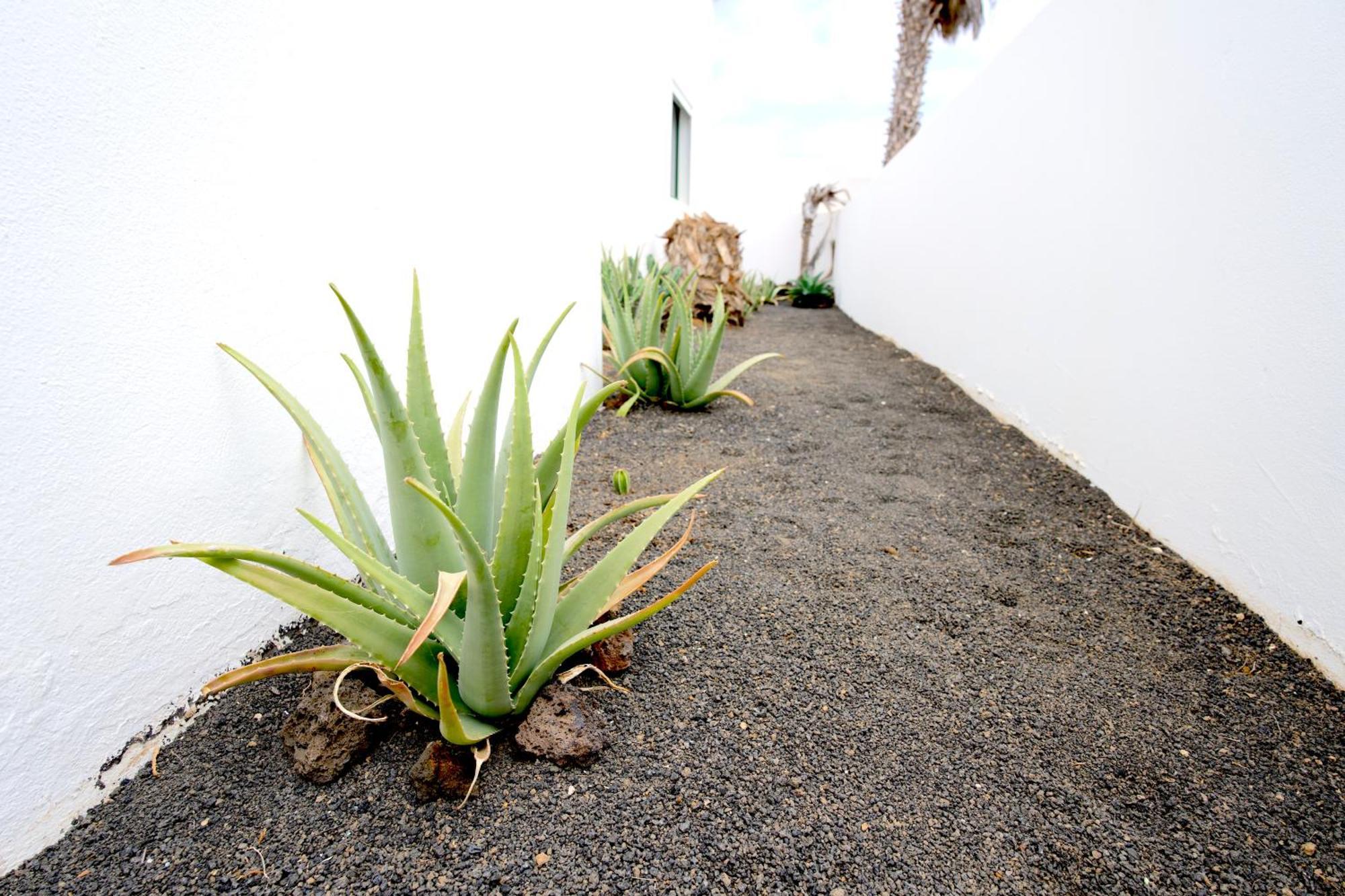 Villas Kalendra, Rofe, Lanzarote Guatiza المظهر الخارجي الصورة