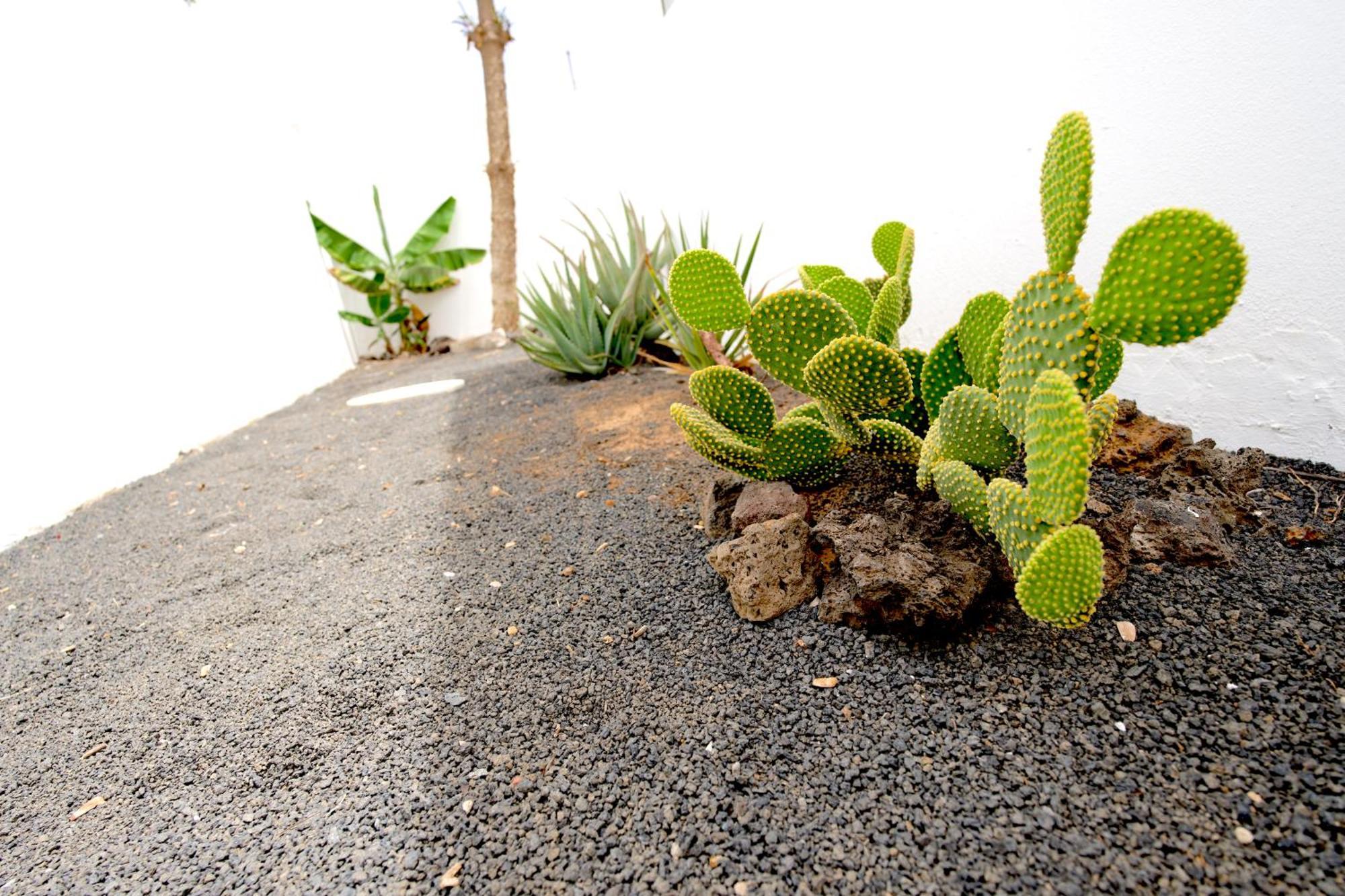 Villas Kalendra, Rofe, Lanzarote Guatiza المظهر الخارجي الصورة